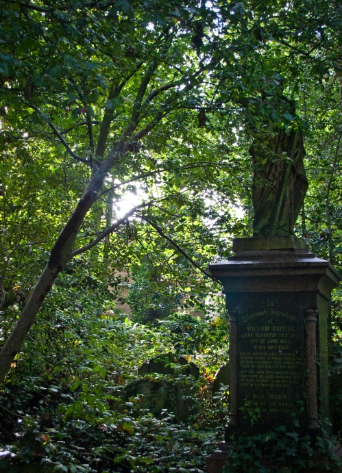 Abney Park cemetery